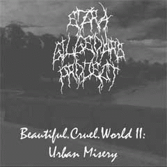 Ezra Gilgeours Project : Beautiful.Cruel.World II: Urban Misery